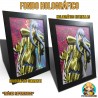 Saint Seiya: The Lost Canvas Pisces Albafica - Cuadro 3D
