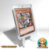 Dark Magician Girl - LED6-EN000 - Carta 3D