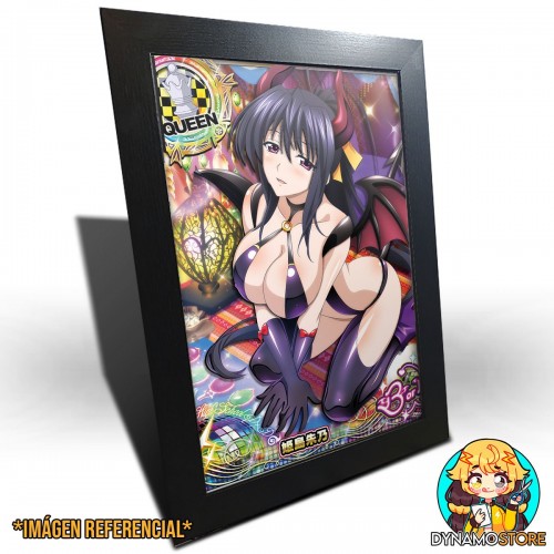 Akeno Himejima Succubus -...